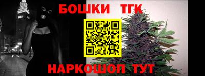 индика Каменск-Шахтинский