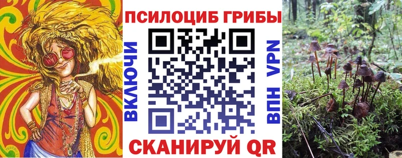 как найти закладки  Моршанск  Галлюциногенные грибы Magic Shrooms 