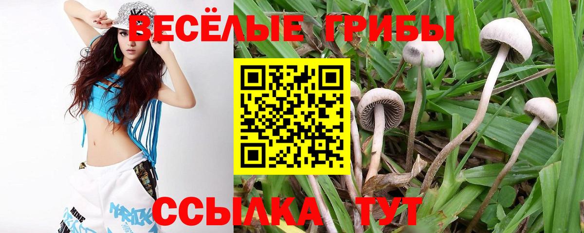 Моршанск  Галлюциногенные грибы ЛСД  Вход с VPN 